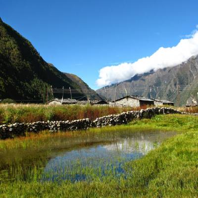 Bird Watching Tour in Nepal