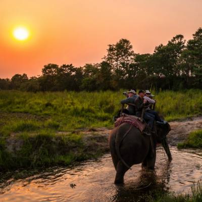 Jungle Safari in Nepal