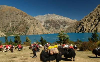 Inner Dolpo Trekking